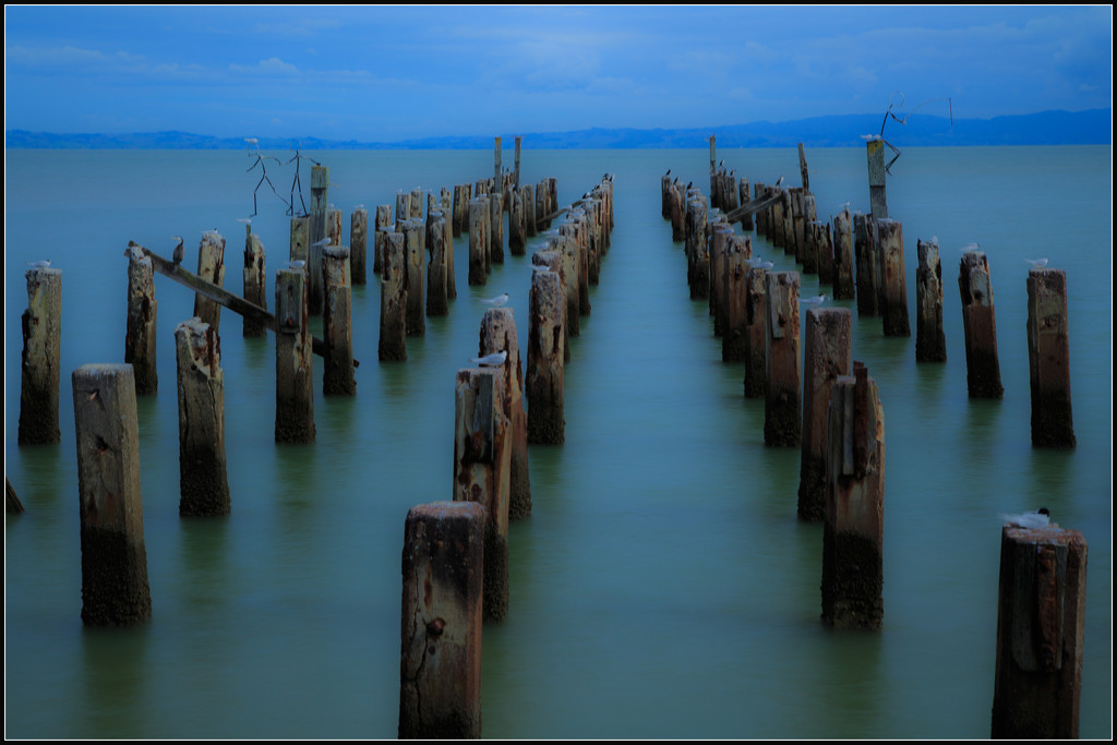 The Wharf Pillars by dide