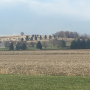10th Apr 2016 - Nebraska Countryside