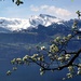 2016-04-10 spring in central switzerland by mona65