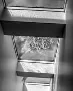 10th Apr 2016 - Cleaning the skylights