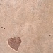 Heart on the wall.  by cocobella