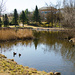 The duck pond in Ringve Botanical Garden by elisasaeter