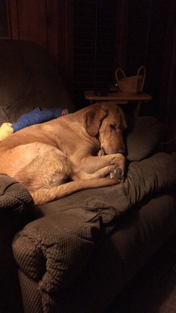 My boy on MY CHAIR by prn