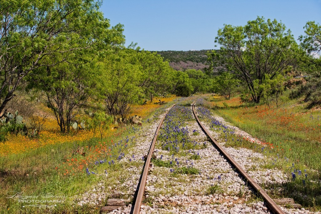 Down the Tracks by lynne5477