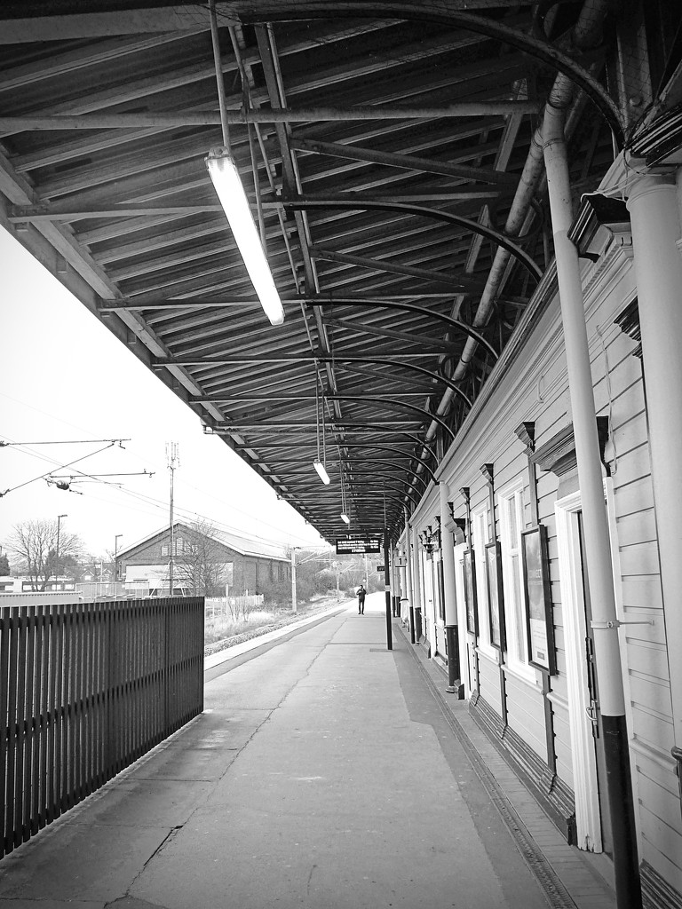 Waiting for the train by sabresun