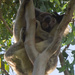 get a grip by koalagardens