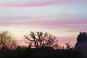 28th Dec 2015 - From the bedroom window