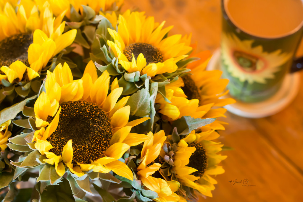 Sunflowers by janetb