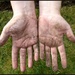 Gardening hands. by jokristina