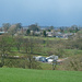 Newby by shirleybankfarm