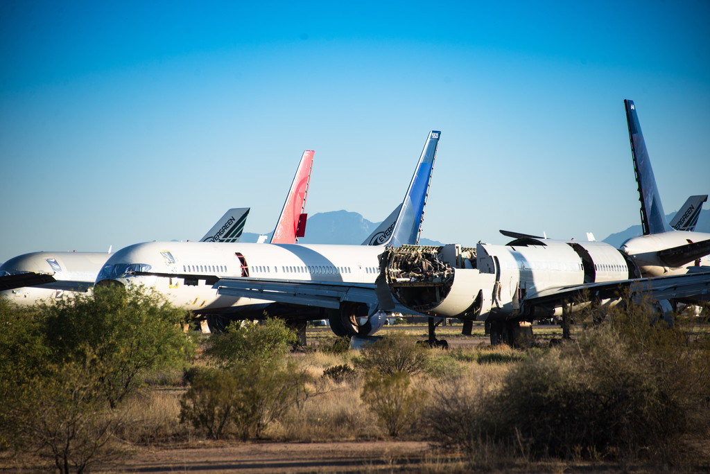 Where Airplanes Go To Die by stray_shooter