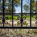Cemetery Fence by jae_at_wits_end