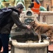 A thirsty dog, and a thoughtful passerby by jyokota