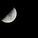 Half moon in black and white by homeschoolmom