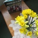 Spring daffodils by g3xbm