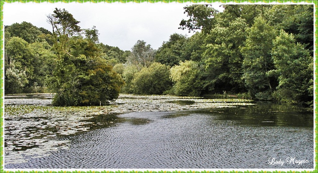 Lake in the Woods by ladymagpie