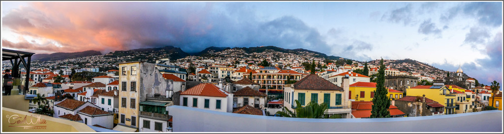 Funchal From Our Hotel Rooftop by carolmw