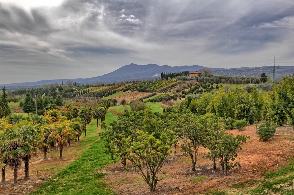 Somewhere in Tuscany by spectrum