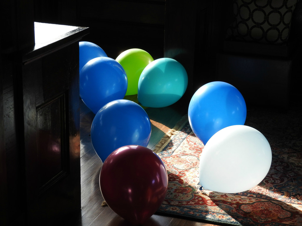 Party Balloons by seattlite