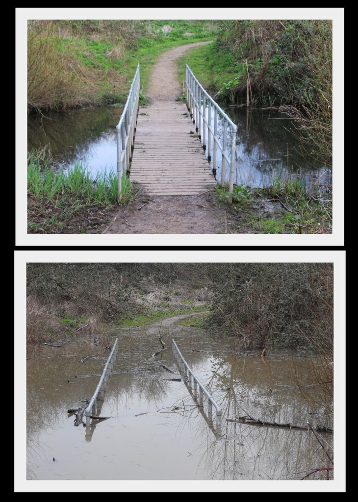 Bridge, Iremongers pond by oldjosh