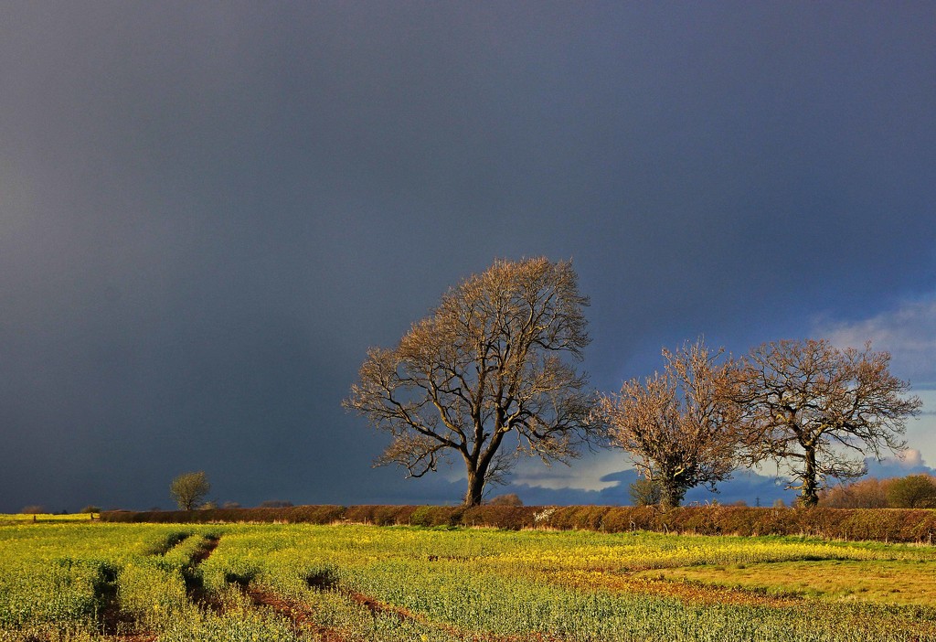 Stormy horizon by shepherdman