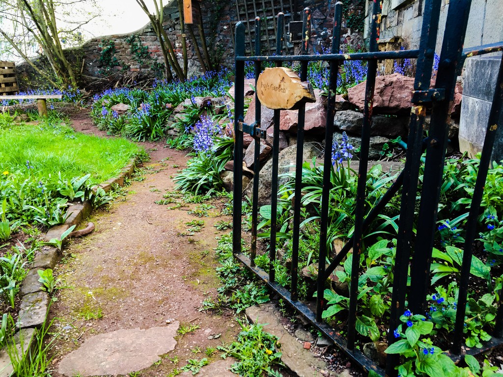 Roy's Garden by bizziebeeme