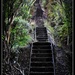 Stairway to the top by yorkshirekiwi