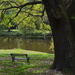 Restful interlude - Charles Towne Landing State Historic Site, Charleston, SC by congaree