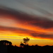 Another Outback Sunset by leestevo