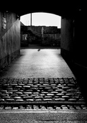 8th Apr 2016 - Cobbled Alley