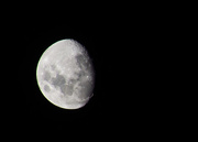 17th Apr 2016 - The Moon