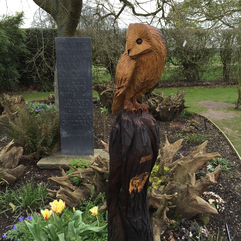 Wooden Owl and Proverb by gillian1912