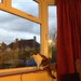 Cat on a windowsill by denidouble