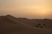 14th Apr 2016 - Sunrise in the desert