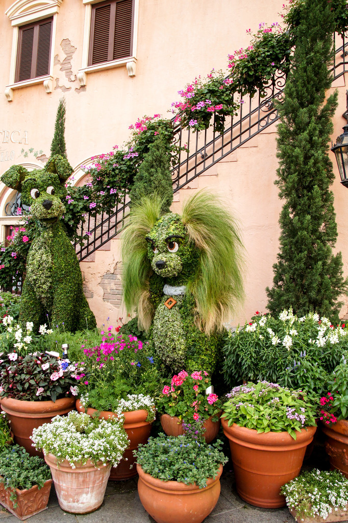 Topiaries by danette