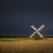 Day 103, Year 4 - Calm After The Storm At Herringfleet by stevecameras