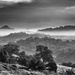 Foggy Morning - Pyramid Rock by jeffjones