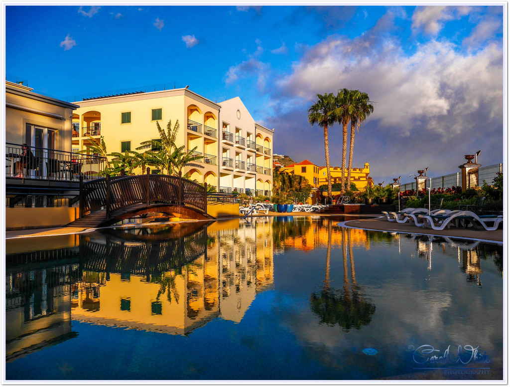 Reflections In The Hotel Pool by carolmw