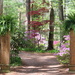 The Azalea Path & Botanical Gardens by essiesue