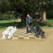 Giant chess? by g3xbm