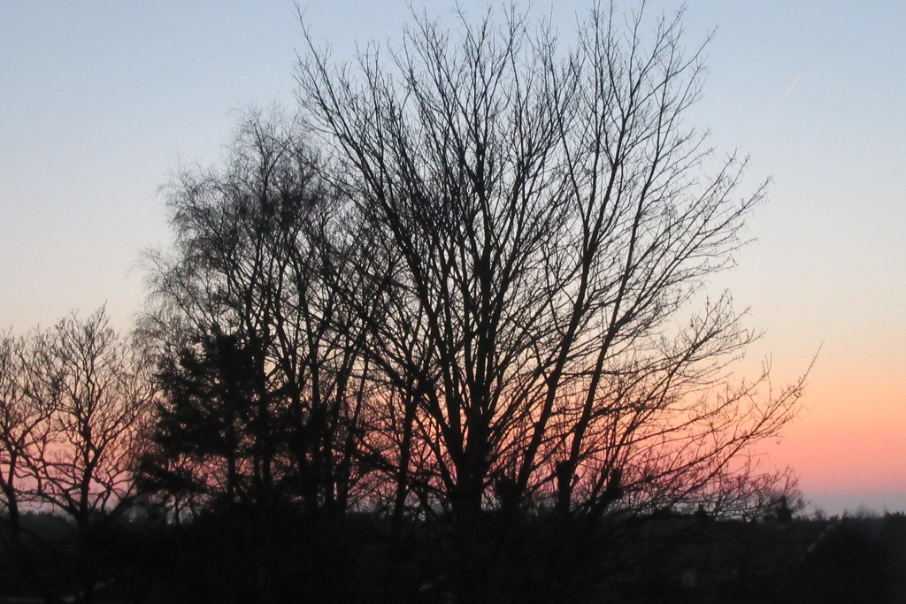 Sunset from my window by lellie
