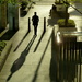 Afternoon shadows by boxplayer