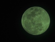 20th Apr 2016 - Rare Green Moon