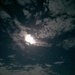 Night Sky by scoobylou