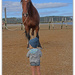 Wow Big horse .... by julzmaioro