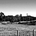 Hunter Valley 1 by annied
