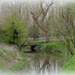 The brook by rosiekind