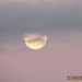 Rising moon  by Dawn