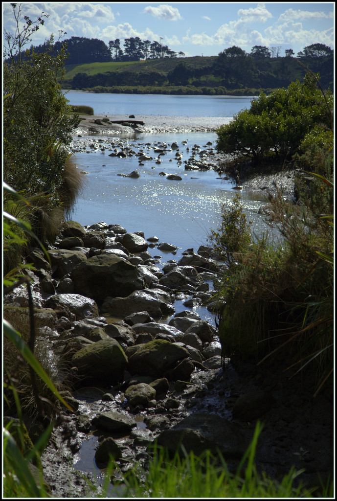 The Southern end of the Manukau by dide