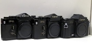 22nd Apr 2016 - My Canon F-1 Family